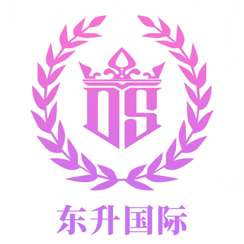 东升国际